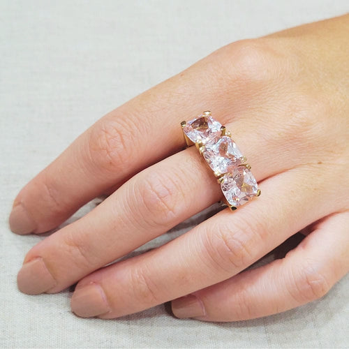 Pembe altın yüzük, Fransa Gülleri 