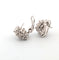 Boucles d'oreilles Boucles d'oreilles en or blanc avec diamants 58 Facettes