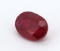 Gemstone Rubis non chauffé 1.04cts certificat IGI 58 Facettes