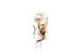 Boucles d'oreilles Boucles d'oreilles Art Déco or jaune serties de perles 58 Facettes 21823