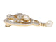 Broche Broche Art nouveau en platine et or jaune 18K, diamants et perles 58 Facettes 20190-0105