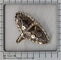 Bague 58 Bague victorienne en or rouge 14K et argent, 53 diamants taille rose 58 Facettes 23073-0137