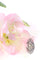 Bague 58 Bague victorienne en or rouge 14K et argent, 53 diamants taille rose 58 Facettes 23073-0137