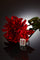 Bague 54 Bague Art déco - Bague en platine avec diamants et rubis 58 Facettes 23249-0100
