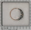 23331-0140.p13_Whispers of the Past  A Baroque Diamond Ring from 1700-en.jpg