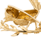 Broche Boucheron - Broche oiseau en or jaune et rubis 58 Facettes 3246212CN