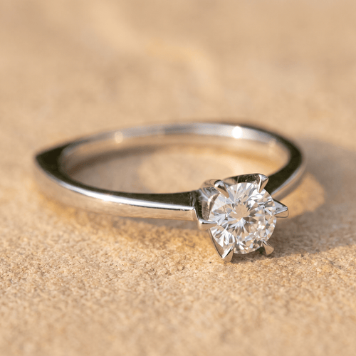 https://cdn.shopify.com/s/files/1/0442/6560/3235/files/hf_20260707_135033_d9d677b1-e1b5-4340-98f4-8db500522184.png?v=1783432393