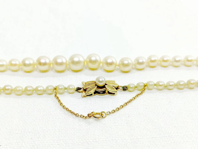 b12fecf4-0f0b-496b-a882-9529696d0500