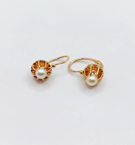 213939d8-b17a-4aaa-bd87-c55f29003d00