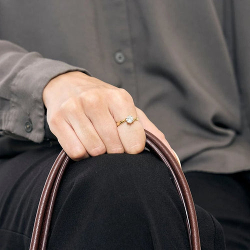 00dded9a-7963-446d-52b1-667f82f54c00