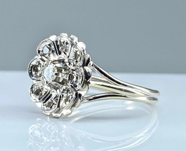 d19307e7-e15d-4fc3-8036-ecb0c6cc4500