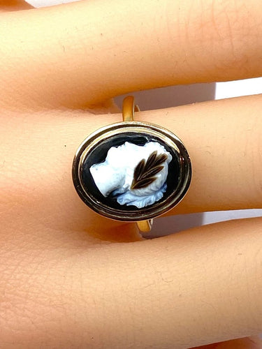 4bdcedf7-c788-4768-8429-caf446c63200