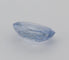 Gemstone Saphir bleu ovale chauffé 1,01 ct avec certificat 58 Facettes 456