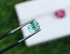 Gemstone Paire de tourmalines bleu lagon et rubellites 3,05 ct 58 Facettes 433