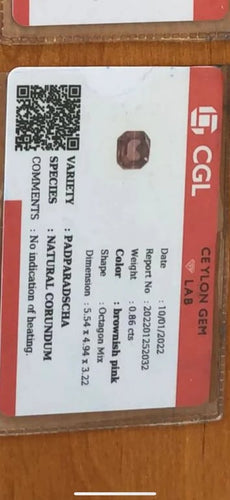 8f3eb819-f50b-4fdb-a854-9ff81d089300