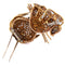 Broche Broche lion vintage en or jaune 18 carats, émeraudes et diamants 58 Facettes SP27 '(00329)