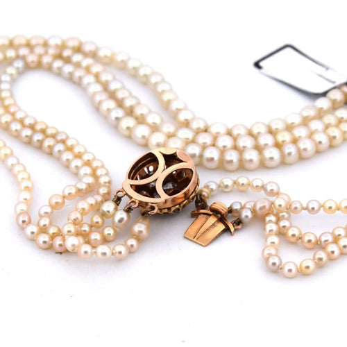 7b3bb494-9a82-4509-8a9c-3ecad52d4500