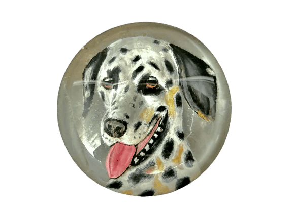 44cf0a94-2e23-4d01-e783-b3477f58e400