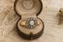 ChatGPT Image 25 abr 2026, 15_16_40.png