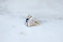 Bague 51 Art Déco - Bague dôme en or jaune et platine saphir et diamants 58 Facettes