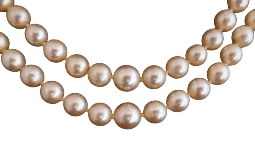 b5f3bcc1-31e4-4718-6bc0-74e115883c00