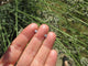 Boucles d'oreilles Boucles d'oreilles diamants 0,50 ct en or blanc 58 Facettes