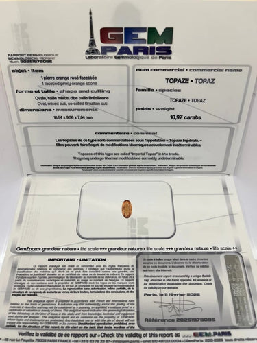 baf9cb06-7da4-4a3e-bddd-474ad6d86d00