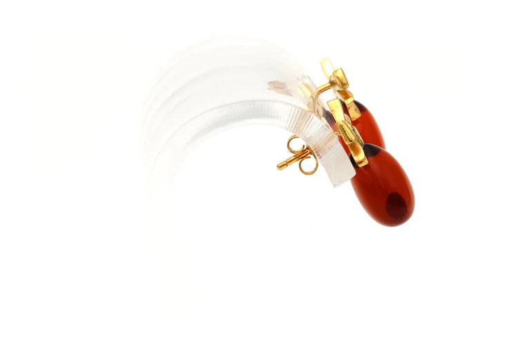 31bd97f5-5c05-4ed4-5279-fdd3fafa2b00