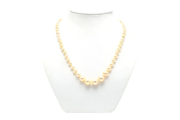 8dc752ca-640e-4c86-ed27-318455373200