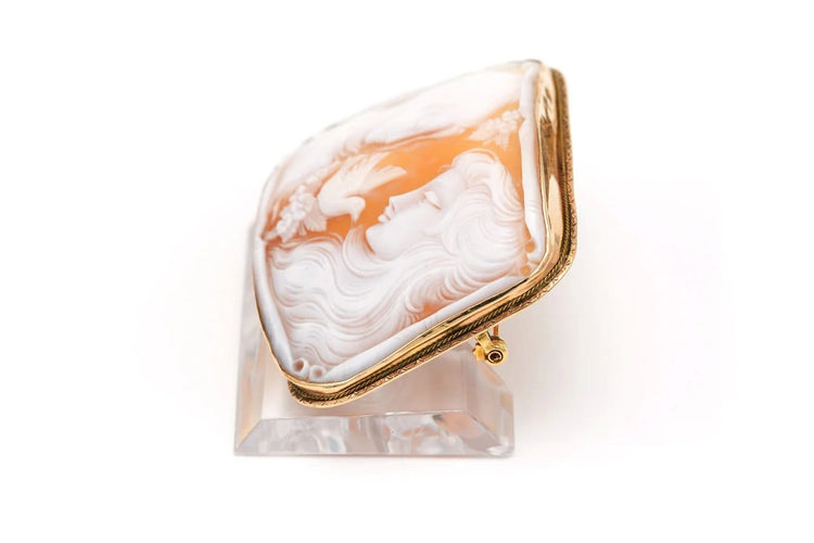 Broche Broche Art nouveau en or jaune 14 carats sertie d’un camée coquillage 58 Facettes 22921