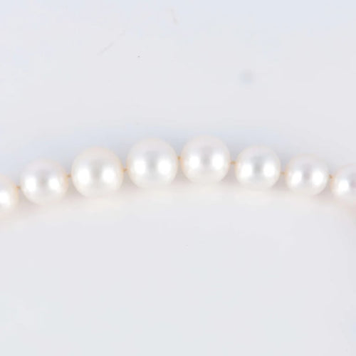 2322b8aa-7200-486d-36df-77ea71d6de00