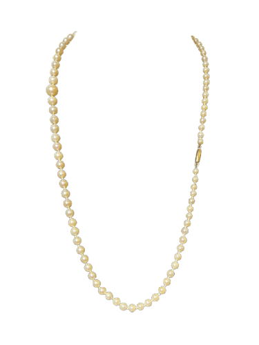 dc4184e5-c35a-40e5-0b60-ef8dbb66fc00