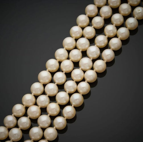 bb4683a0-1643-47e6-ab93-34fd278e2100