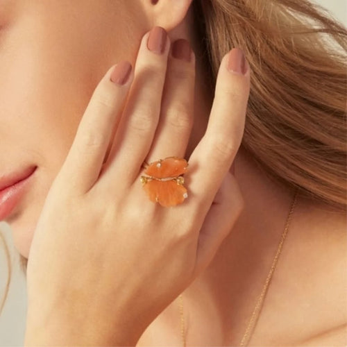 c114b56d-553e-427c-f353-c6544e0c1100