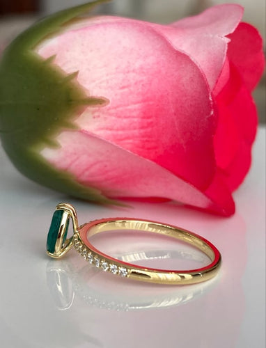 16f710ce-ef9c-4674-09e1-9aebb9d46200