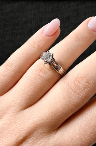 https://cdn.shopify.com/s/files/1/0759/4583/6889/files/601DD33F-553C-456D-B78A-D6BA45EC7465.jpg?v=1771495537
