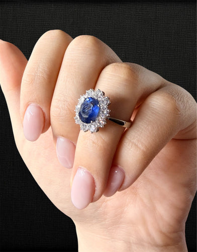 https://cdn.shopify.com/s/files/1/0759/4583/6889/files/5C9F48E9-65BF-4993-9651-78C887E1BEA8.jpg?v=1771498117
