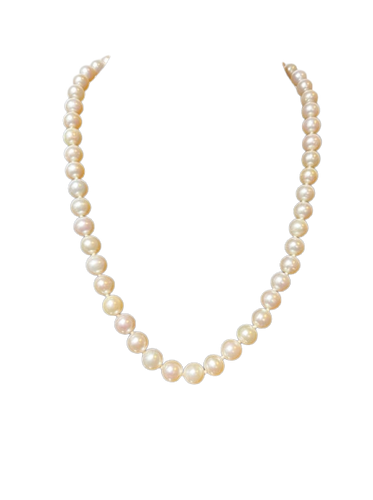 ea4444b0-b1d5-4910-fce9-d383d148ba00