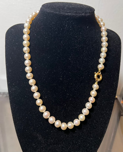 4969522e-5e62-4ad6-2489-8bce99859a00