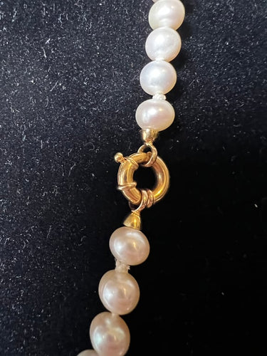 c1a4f9f1-cc54-4a64-1d51-fa06ebcb2200