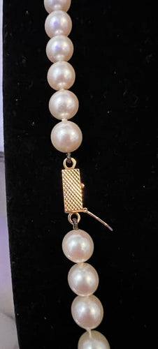 c5ab693d-2923-42c8-e7b3-06f5c564e900