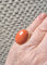 Bague 56 Bague en or jaune 750 sertie d’un cabochon de corail 58 Facettes R 1673  Nio