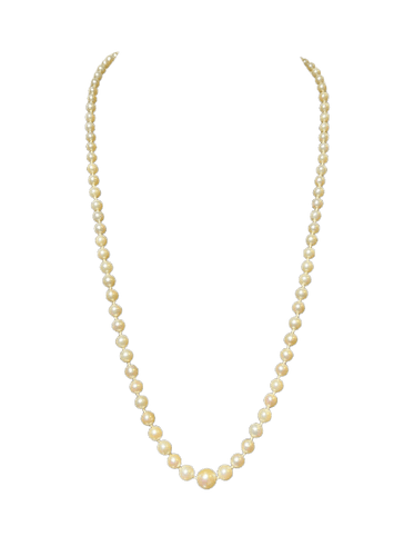 0e2e866c-5969-4a65-c798-0ee90c9e9600