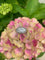 https://cdn.shopify.com/s/files/1/0647/1470/3075/files/Bague_de_Luxe_de_Seconde_Main_-_Bague_Jonc_Diamants_2.20_CTS_-_Or_Gris_-_Bijouterie_Paris_-_Les_Pierres_de_Julie_2.jpg?v=1774696699