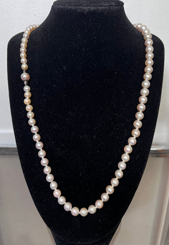 36339298-6516-44d6-cce9-696e4899e500