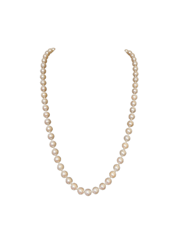 e7f8b04a-7dbb-47f6-9f69-462f87489800