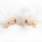 DSC_6431-scaled.jpg
