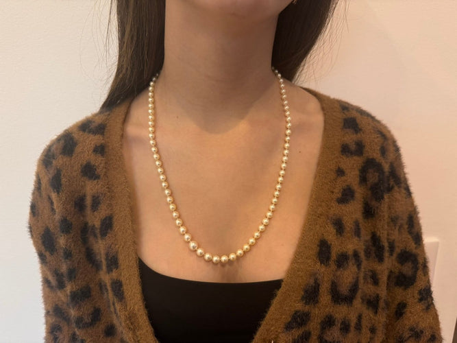 9cd322dc-e7e0-4bc0-b484-735b1423a200