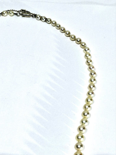 4a143a6f-8dd8-41c0-f832-dcd18f812100