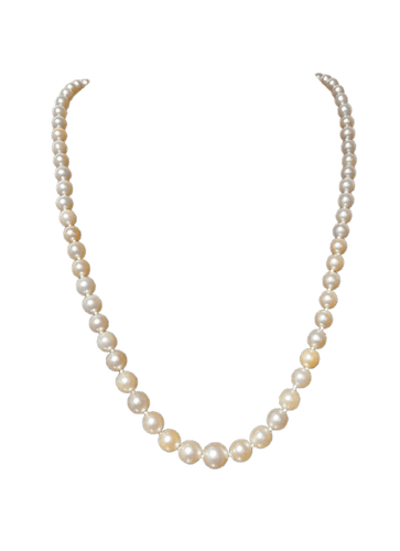 f3410c5d-9597-4d99-2cbd-1ccb6a2ad700